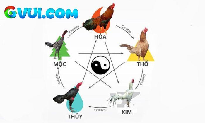 Cách áp dụng màu mạng đá gà trong thi đấu