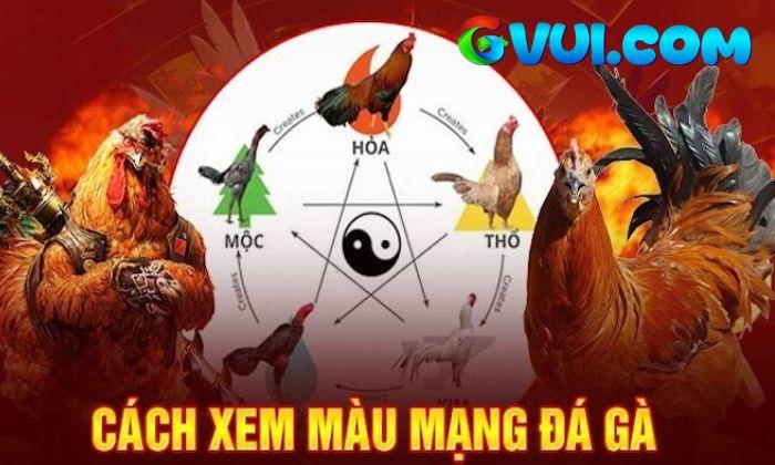 Giới thiệu về màu mạng đá gà